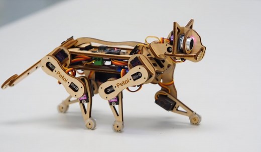 Nybble, An Adorable Open Source Robotic Kitten Kit