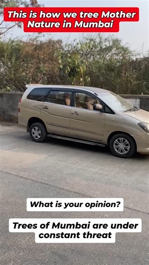 Subhajit Mukherjee Foundation | The Helpless Tree This is how we tree Mother Nature in Mumbai . No respect for Trees. Thank you @amanpreetsbevli Ji for the years of... | Instagram