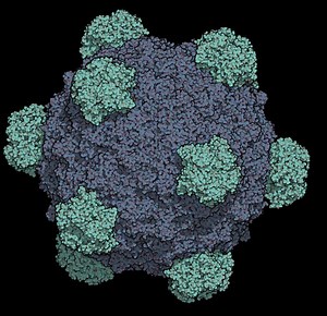 Phi X 174 - Alchetron, The Free Social Encyclopedia