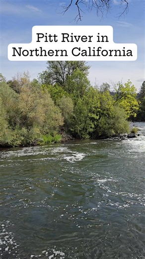 Epic scenery and big trophy trout water of the Pitt River in No. California. Best vacation this summer! #trophy #trout #fishing #flyfishing #pittriver | Vacation Rental Homes By Owner - No Booking/Service Fees | Facebook