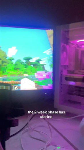 Confronting My Minecraft Addiction: A Two-Week Journey