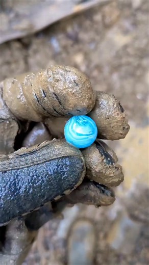 72K views · 2.1K reactions | Check out this gorgeous marble I found while digging for antique bottles! #marble #marbles #oldbottles #treasurehunt #treasurehunting #treasure #adventure #bottledigging #relic #relics #antique #antiques | Wild Kyle | Facebook