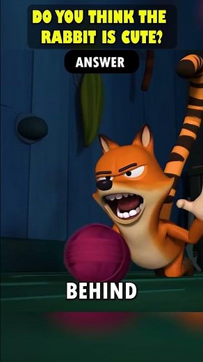 This Fox Makes Fun of The Rabbit