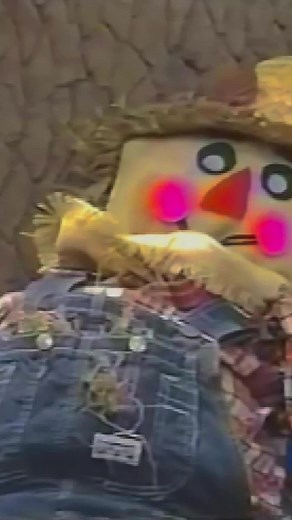 🍁 Happy first day of Fall! From cool breezes to falling leaves, 'I Like Autumn' is the perfect song to kick off Fall! 🍂 . . . #Barney #BarneyTheDinosaur #Icon #36Years #BestFriendForever #ILU #ILikeAutumn #Fall #Seasons #Scarecrow #Classic #Song #Iconic #Clip #1993 #2024 #BarneyAndFriends #ILoveYouYouLoveMe #ChildhoodMemories #Nostalgia #Parents #Kids #Love #FanPage