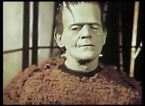 269 reactions · 562 shares | Son of Frankenstein Boris Karloff in Color | The Frankenstein Saga | Facebook