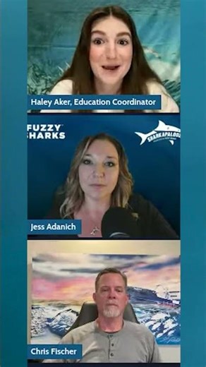 Ever wonder what goes on during OCEARCH After Hours? Here's your first look 🦈