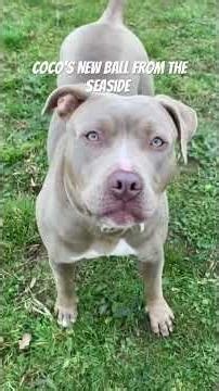 How long will it last ￼