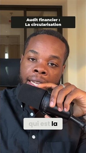 Financial Audit: The Ultimate Guide | Big 4