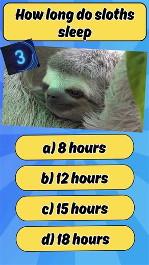 How Long Do Sloths Sleep? 🦥 15 Hours a Day?! #sloth #animalfacts #shorts #animallife #wildlife