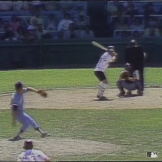 725K views · 10K reactions | 43 years ago today..... The White Sox became the 1st (and only) team in MLB history to wear shorts during a game. | MLB | Facebook