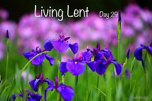 6.5K views · 2.3K reactions | 'LIVING LENT' Series We're really...