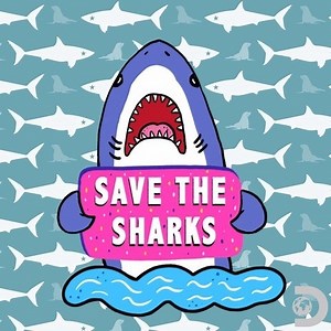 24K views · 1.9K reactions | This year's #SharkWeek may be over but saving sharks never ends! 麗 SharkWeek.com | Shark Week | Facebook