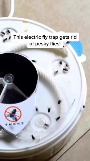 No more worries about flies and insects this summer#fly #flies #trap #electric #tech #fyp #foryou