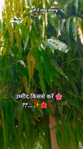 Ummeed kisse karein 🌺✨️#motivation #trueline #poetry