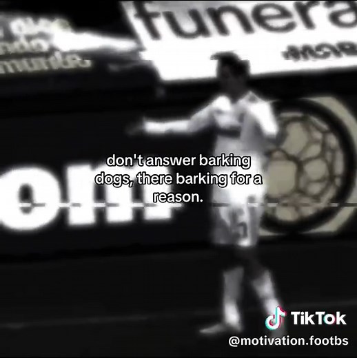 Understanding Dog Barking: Reasons and Responses