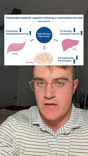 What Happens If You Only Eat One Meal a Day?