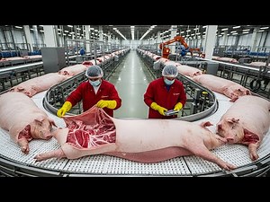 Inside the Pork Sausage Factory |Million-Dollar Products Are Made from Pigs ( Full Process )