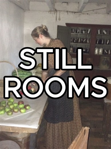 STILL ROOMS! 17/18th century homes had this really cool multipurpose room for all sorts of mad science before manufacturing caused it to fade away. #home #room #Histroy #house #historic