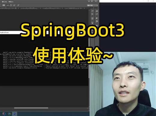 SpringBoot3使用体验~