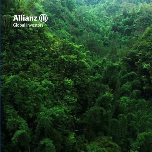 Graduate Programme 2026 | Allianz Global Investors