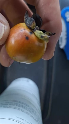 Rusty Coleman on TikTok