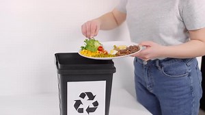 Sorting Organic Food Waste To Container