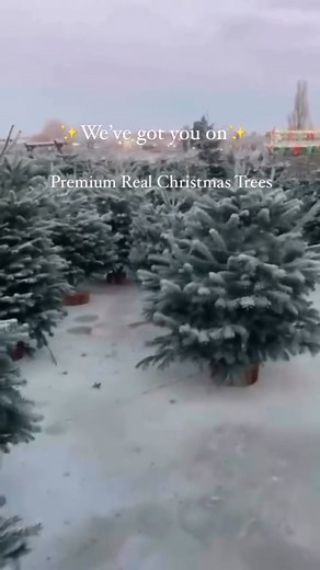 9K views · 53 reactions | ✨ We can’t wait to welcome our lovely...