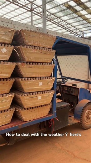 How to deal with the weather ？see…