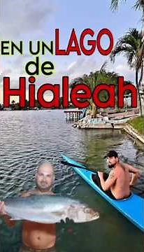 LAGO DE MIAMI, Kayak... #kayakfishing #miami #fishing #cubanosporelmundo #shortvideo #fishing