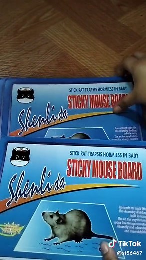 rat killers glue trap#rat killers glue trap