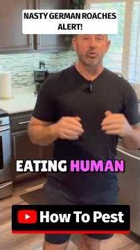 How To Get Rid of German Cockroaches | The Nasty Truth