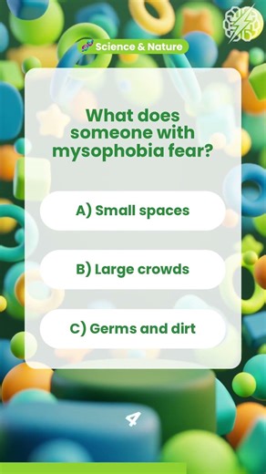 Mysophobia Quiz: What Are They Afraid Of? 🧠