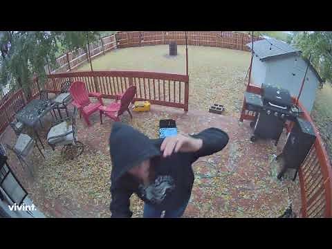 Caught on Camera: Man Almost Gets Hit by Falling Tree