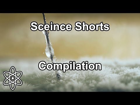 Fall 2025 Science Shorts Compilation | ⚛