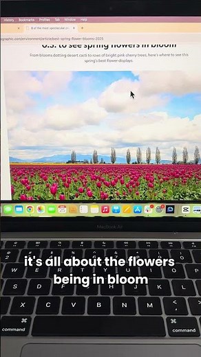 Add a Website to Quizizz Passages & Generate Questions