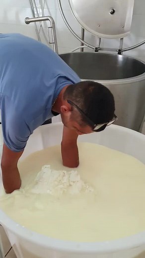 Artisan Cheese Making Process in Industrial Kitchen