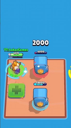 KIT BOXER vs BIKLY THE KIT