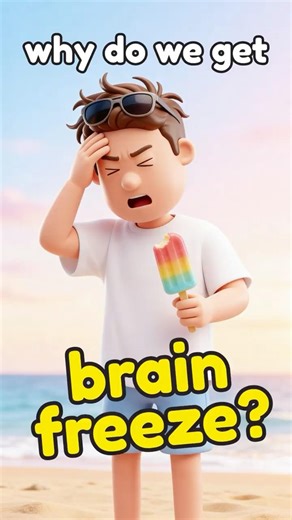 Why Do We Get Brain Freeze? 🥶 #brainfreeze #humanbody #sciencefacts #curiosity #weirdscience #facts