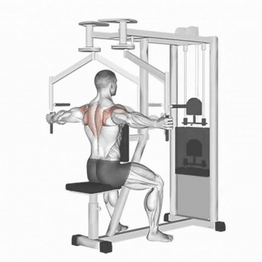 Voador Dorsal Invertido