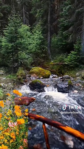 Flowing Water Sounds for Relaxation