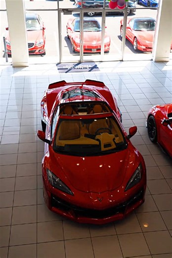 Ciocca Corvette on TikTok