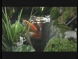 In 2008, Ralph Macchio appeared in a Vitamin Water commercial as the spiritual advisor to NASCAR driver Carl Edwards—wearing that signature Karate Kid headband, of course. | The Karate Kid Universe