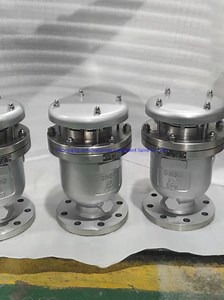 [Hot Item] DN50 Quick Release Single Ball Air Vent Valve