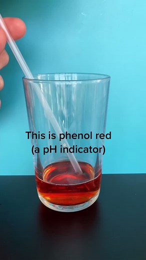 Understanding How Plants Take Up CO2: A Biology Experiment