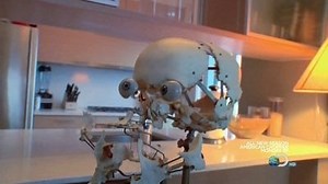 Watch Oddities Season 1 Episode 4 - Skull Envy