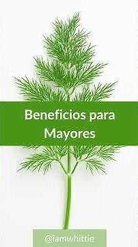 Beneficios del Eneldo: la planta que cuida tu corazón, tu digestión… ¡y tu energía!