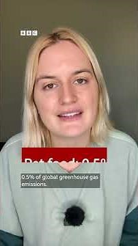 Biggest carbon footprint: Pets, chickens or cows...? 🐈🐓🐄 - BBC World Service #shorts