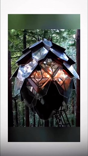 $ 1 000 000 million dollars challenge to stay in this Luxury Tree House for 45 days | Follow Real Facts For more #fypシ゚ #photooftheday #dollar #Youtube #tiktok #Youtube #million #photography #luxury #tree #house #treehouse #facebook #instagram #style #beautiful | Real Facts