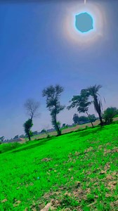 60K views · 4.4K reactions | Good evening #villagelife #village #viral #trending #dance | Entertainments | Facebook