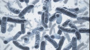 Lactobacillus bacteria, probiotic medical background 3d animation.